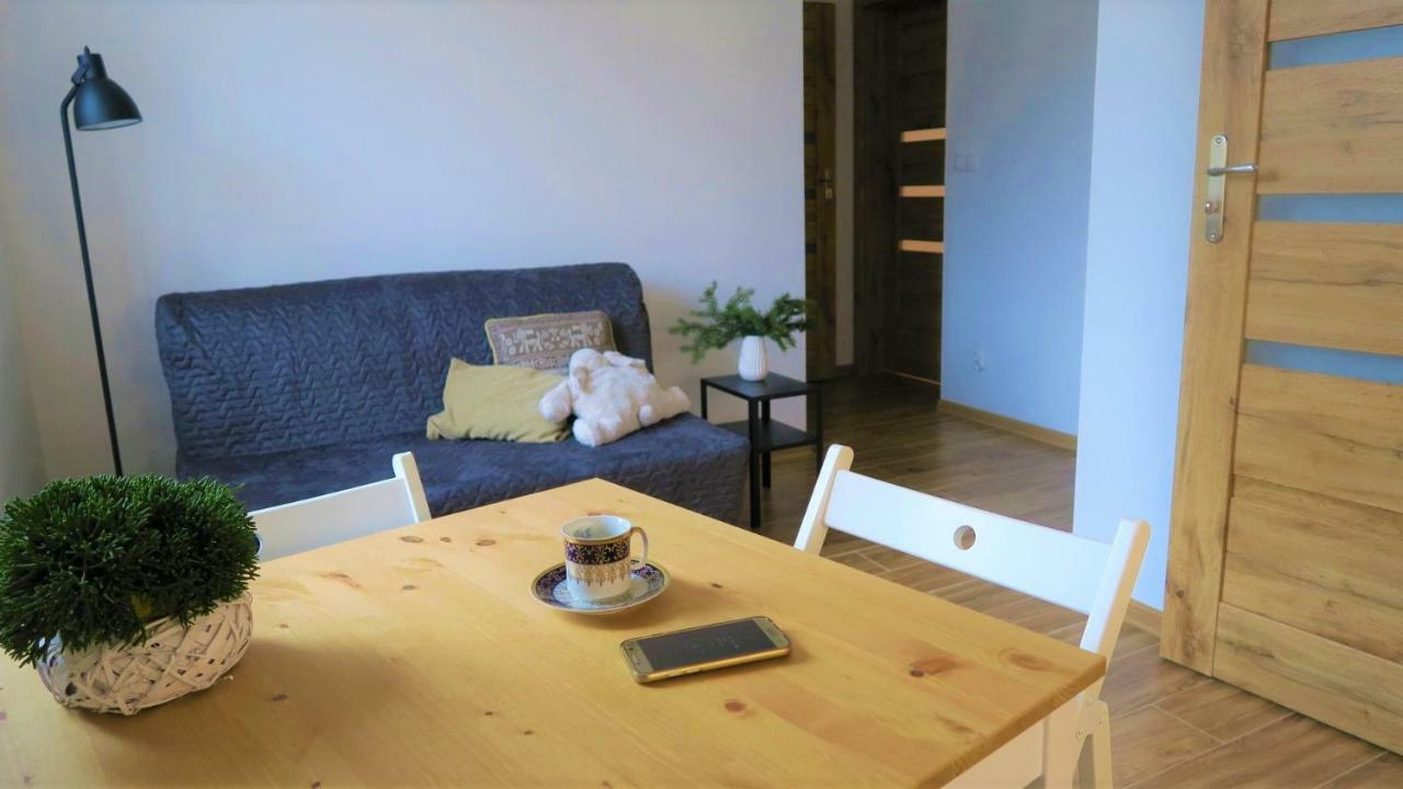 Apartamenty Siostra I Siostra Laziska  Εξωτερικό φωτογραφία